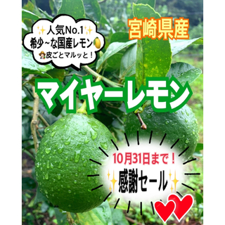 【期間限定❣️感謝セール】マイヤーレモン1㎏（送料込み）/レモン　国産レモン(フルーツ)