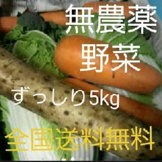 無農薬野菜　詰め合わせセット(野菜)