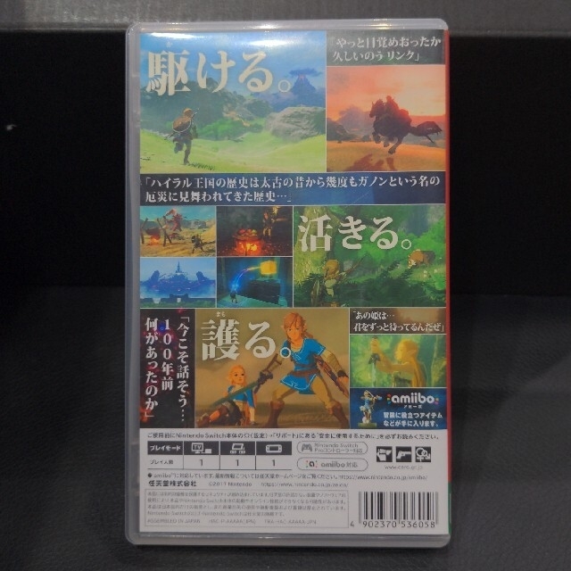 ゼルダの伝説 ブレスオブザワイルド Switch