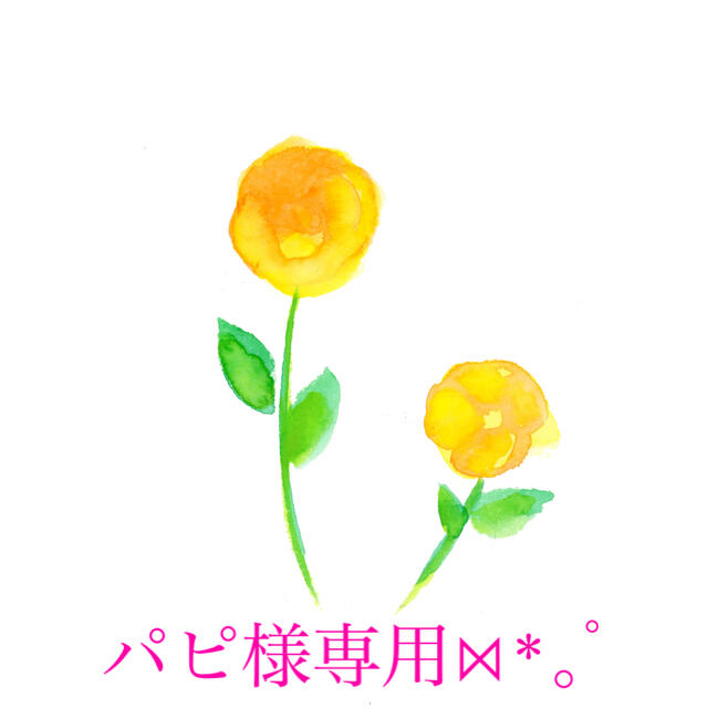 パピ様専用ページ⋈*。゚の通販 by あい's shop|ラクマ