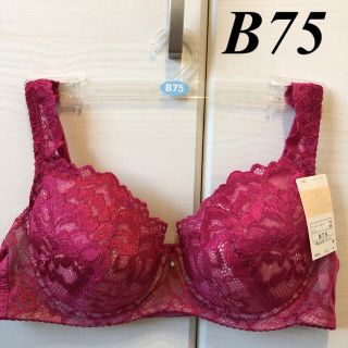 ワコール(Wacoal)のWing/Wacoal  ウイング/ワコール　レシアージュ　ブラジャー　B75(ブラ)