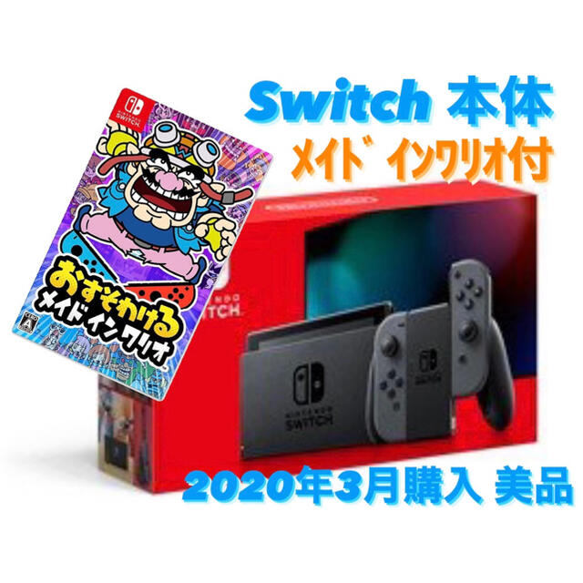 Nintendo Switch 本体 グレー ソフト付 Nintendo Switch 本体 グレー ソフト付
