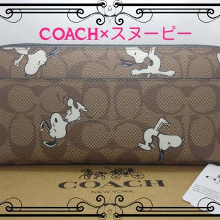 コーチ(COACH)のCOACH×スヌーピーモチーフブラウンシグネスチャー新品未使用長財布(財布)