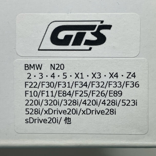 ☆新作入荷☆新品 ティーエムワークス RaceChip GTS ガソリン車用 BMW 5シリーズ 535i F10 F11 