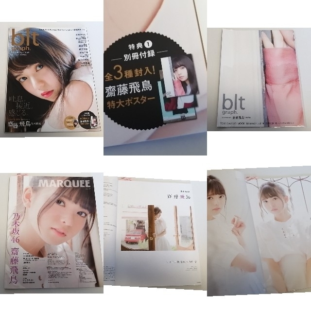 乃木坂46(ノギザカフォーティーシックス)の【乃木坂46】齋藤飛鳥　関連雑誌１２冊セット エンタメ/ホビーの雑誌(音楽/芸能)の商品写真