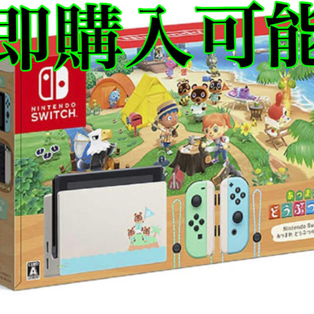 Nintendo Switch 【あつ森】セット