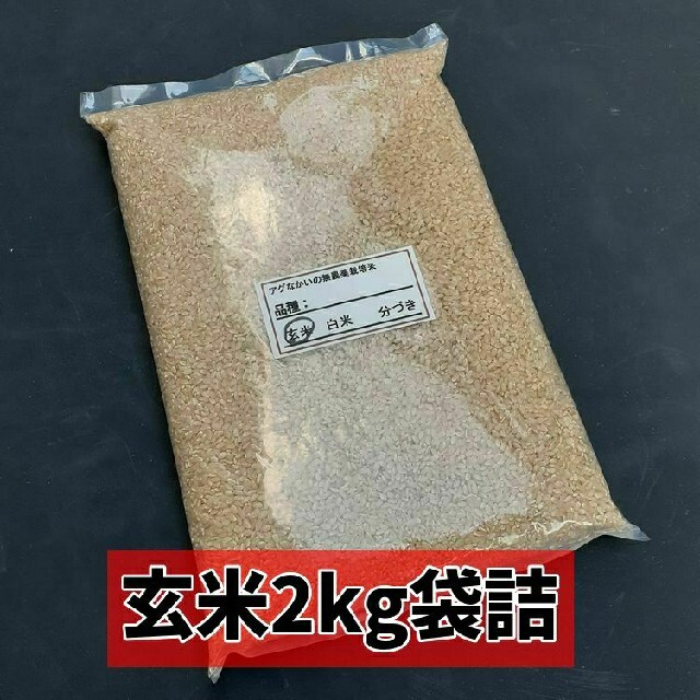 令和3年産 新米 無農薬栽培米 ミルキークイーン 玄米 2kg３個 7