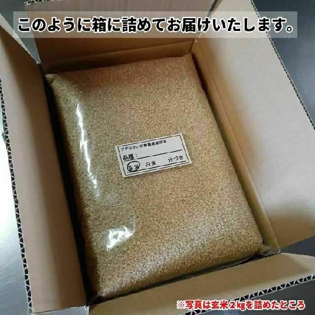 令和3年産 新米 無農薬栽培米 ミルキークイーン 玄米 2kg３個 8