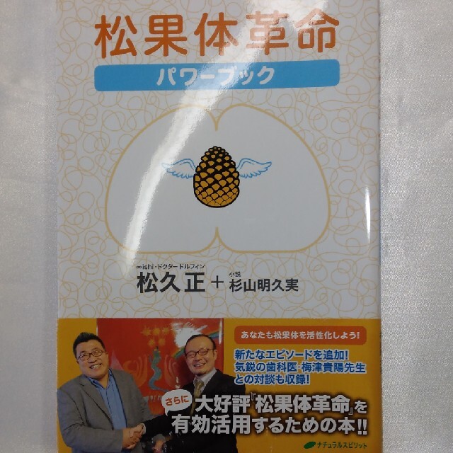 松果体パワーアップブック エンタメ/ホビーの本(その他)の商品写真