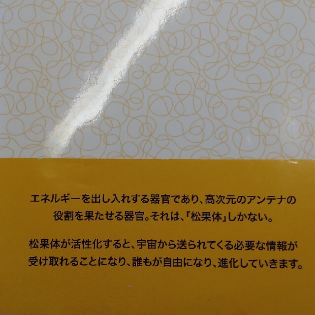 松果体パワーアップブック エンタメ/ホビーの本(その他)の商品写真