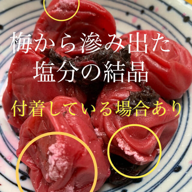 南高梅 紫蘇漬け 梅干し 900g 食品/飲料/酒の加工食品(漬物)の商品写真