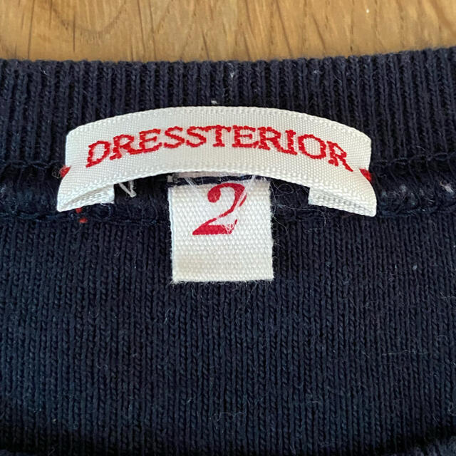 DRESSTERIOR(ドレステリア)のDRESSTERIORカットソー レディースのトップス(カットソー(長袖/七分))の商品写真