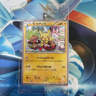 ポケモン - ピカチュウ いっしょにたべよ 未開封 プロモ PROMO 154/XY