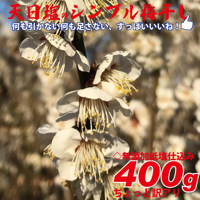 3L選別　無添加減塩仕込み白加賀梅干400gちょっと訳あり 食品/飲料/酒の加工食品(漬物)の商品写真