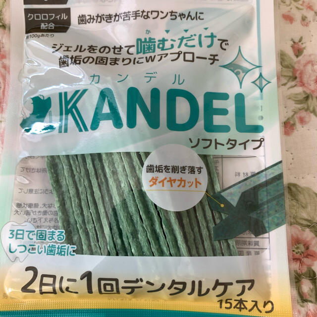 Dr.WANDEL ドクターワンデル＆Dr. KANDEL カンデル