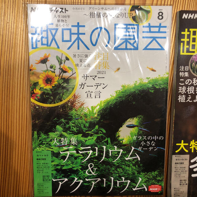 趣味の園芸　8月号　9月号 エンタメ/ホビーの本(住まい/暮らし/子育て)の商品写真