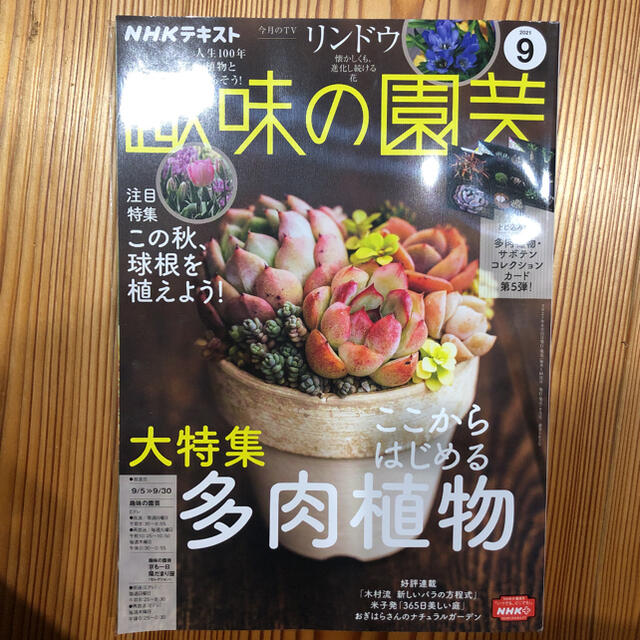 趣味の園芸　8月号　9月号 エンタメ/ホビーの本(住まい/暮らし/子育て)の商品写真