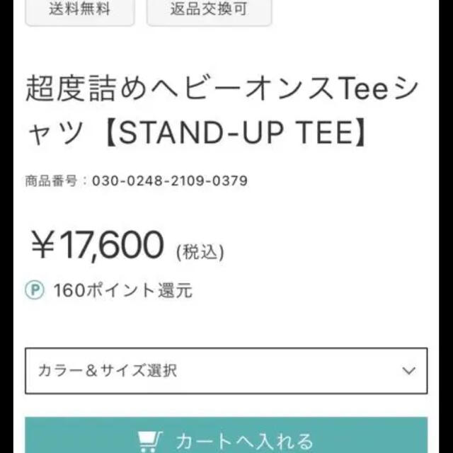 COMOLI(コモリ)の定価半額以下オーラリー AURALEE stand up Tシャツ メンズのトップス(Tシャツ/カットソー(半袖/袖なし))の商品写真