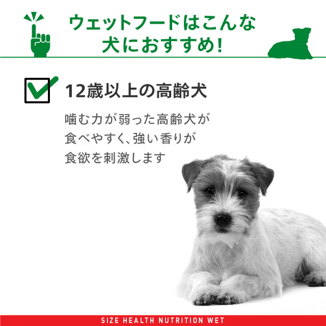 ROYAL CANIN(ロイヤルカナン)の最安値　48個　ロイヤルカナン　ミニエイジング12+   小型犬　高齢犬用 その他のペット用品(ペットフード)の商品写真