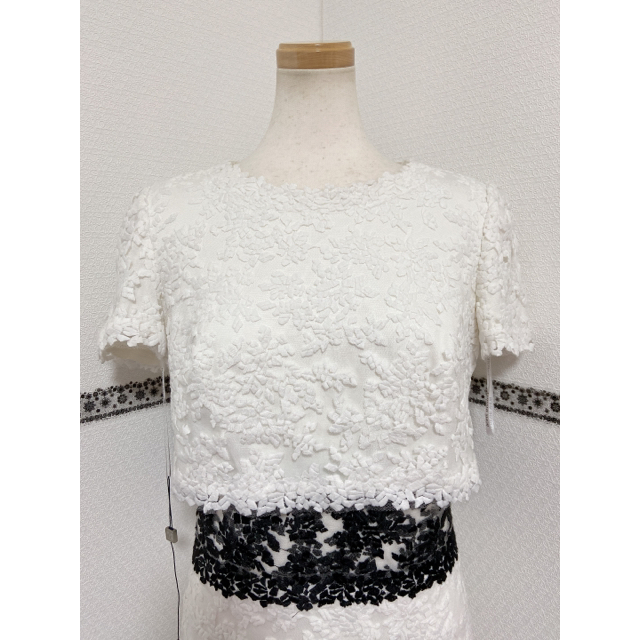 TADASHI SHOJI(タダシショウジ)の2020新品 4 Tadashi Shoji ドレス WH110104NT レディースのワンピース(ひざ丈ワンピース)の商品写真