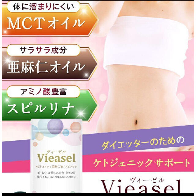 Viesel ヴィーゼル ダイエットサプリ 14粒✖️3袋 ダイエットサポート ...