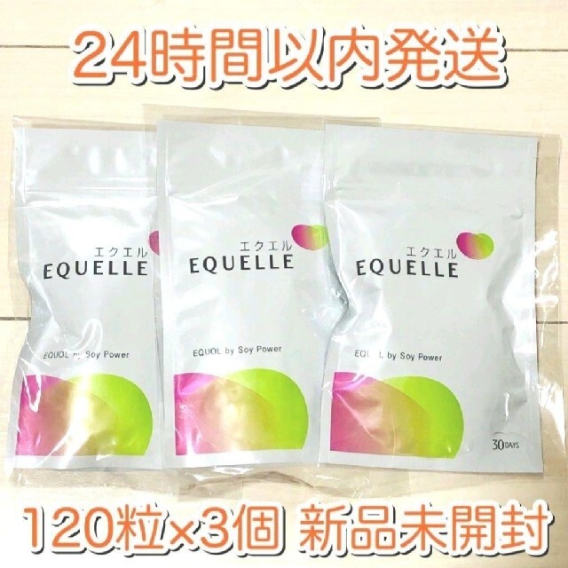 EQUELLE エクエル パウチ