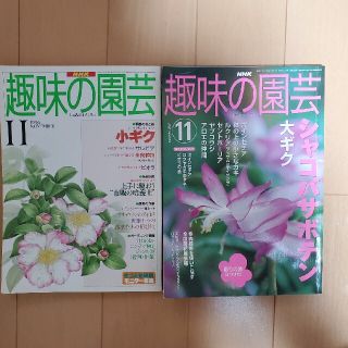 ㉑趣味の園芸　2冊セット(趣味/スポーツ/実用)