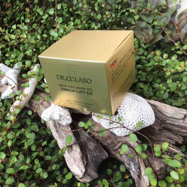 正規品・未開封】VAVITTE バビッテ 核酸セルボンバークリーム 30g 正規品・未開封】VAVITTE バビッテ 核酸セルボンバークリーム 30g
