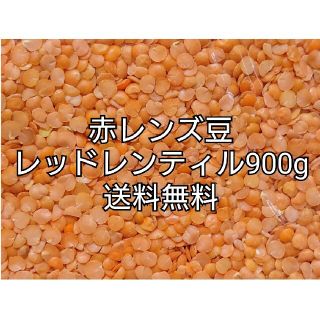 レッドレンティル900g/Red Lentil・赤レンズ豆・乾燥豆(米/穀物)