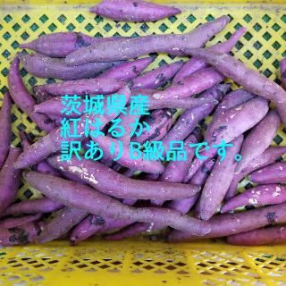 サツマイモ 紅はるかB級品 訳あり品箱入り7キロ細長 特大 3S.極Ｓ曲がり(野菜)