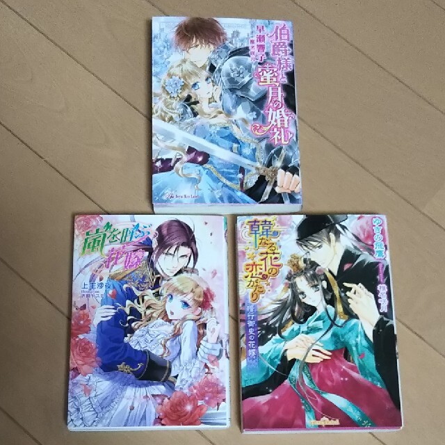 伯爵様と蜜月の婚礼 嵐を呼ぶ花嫁 韓なる花の恋がたり ティアラ文庫 TL 小説 エンタメ/ホビーの本(文学/小説)の商品写真