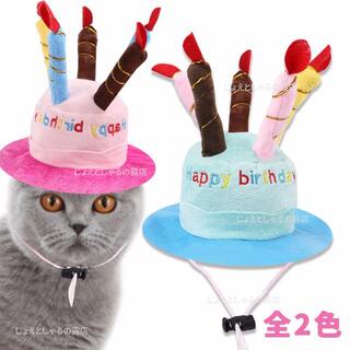 【ピンク】猫犬 誕生日 プレゼント 子供 帽子 ケーキ ロウソク ぬいぐるみ(猫)