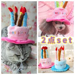 【2点】猫犬 誕生日 プレゼント 子供 帽子 ケーキ ロウソク ぬいぐるみ(猫)