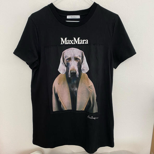 Max Mara(マックスマーラ)のマックスマーラ　Tシャツ レディースのトップス(Tシャツ(半袖/袖なし))の商品写真