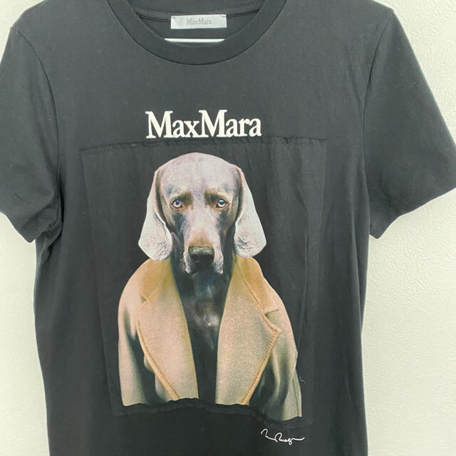 Max Mara(マックスマーラ)のマックスマーラ　Tシャツ レディースのトップス(Tシャツ(半袖/袖なし))の商品写真