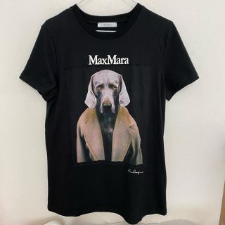 マックスマーラ(Max Mara)のマックスマーラ　Tシャツ(Tシャツ(半袖/袖なし))