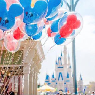 ディズニー(Disney)の専用(バッグ)