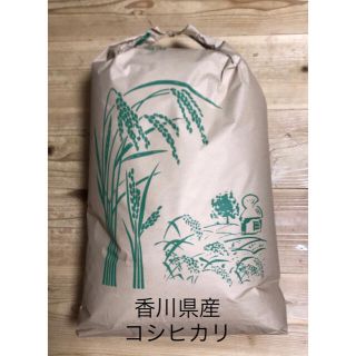 みゆうせい様専用(米/穀物)