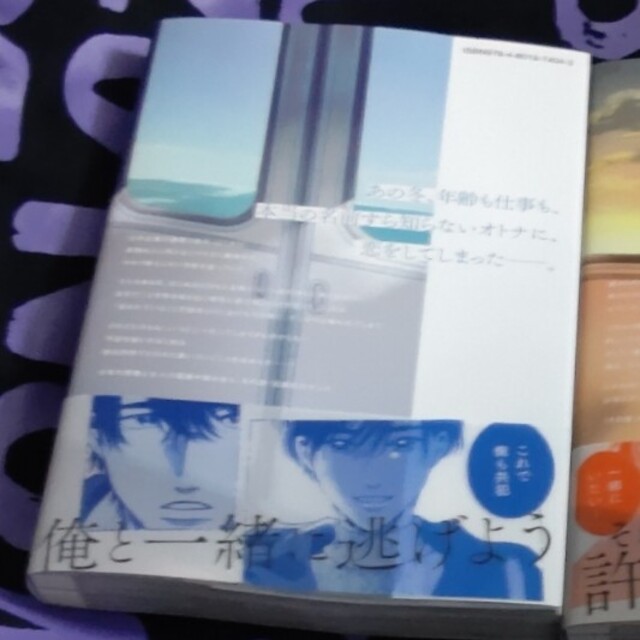 ぴぴ様専用 さよなら共犯者 上下巻セット エンタメ/ホビーの漫画(ボーイズラブ(BL))の商品写真