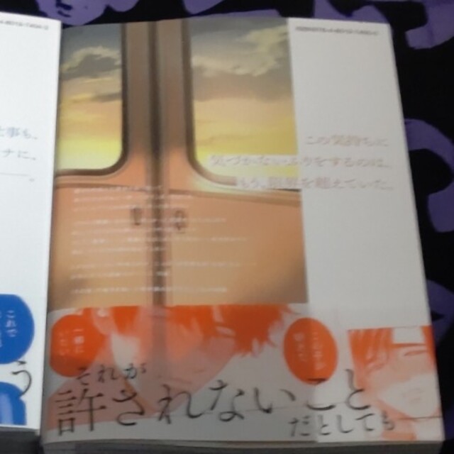 ぴぴ様専用 さよなら共犯者 上下巻セット エンタメ/ホビーの漫画(ボーイズラブ(BL))の商品写真