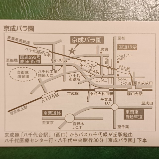 残り出品どうぞ 京成バラ園 ローズガーデン 入場料金50%割引券 株主優待券 エンタメ/ホビーのエンタメ その他(その他)の商品写真