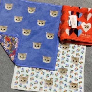 ポールアンドジョー(PAUL & JOE)の新品 ポール＆ジョー 猫 マイクロファイバータオル ＆ タオル(ハンカチ)