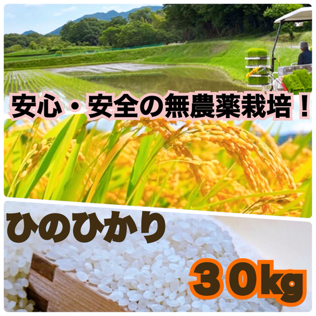 令和３年度収穫　兵庫県産　無農薬　ひのひかり　玄米　３０ｋｇ