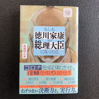 もしも徳川家康が総理大臣になったら ビジネス小説(文学/小説)