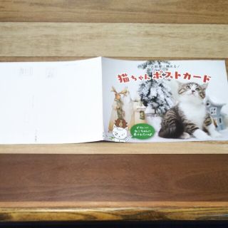猫ちゃん　ポストカード(使用済み切手/官製はがき)