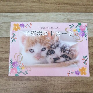 子猫ポストカード(使用済み切手/官製はがき)