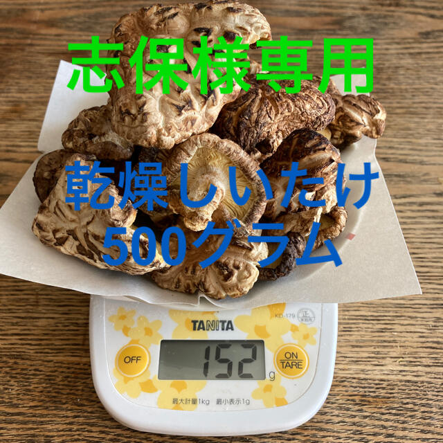 乾燥しいたけ  500g 自然栽培 訳あり