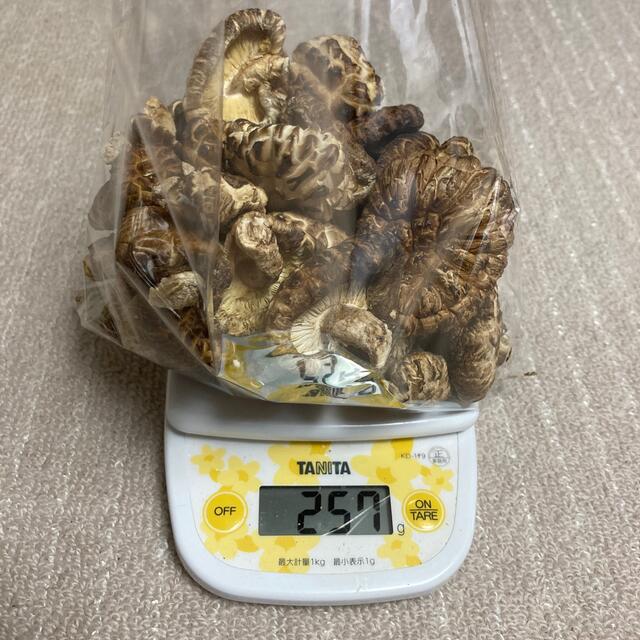 乾燥しいたけ  500g 自然栽培 訳あり