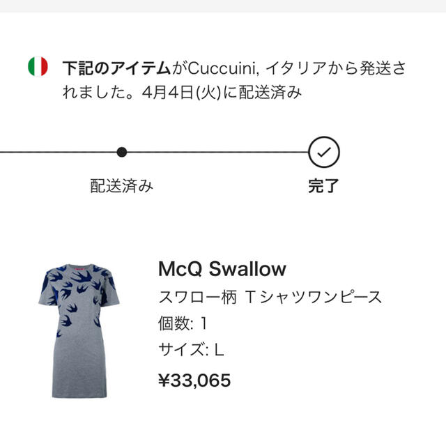 Alexander McQueen(アレキサンダーマックイーン)のMCQ スワロー柄　Tシャツワンピース　L 値下げ レディースのトップス(Tシャツ(半袖/袖なし))の商品写真