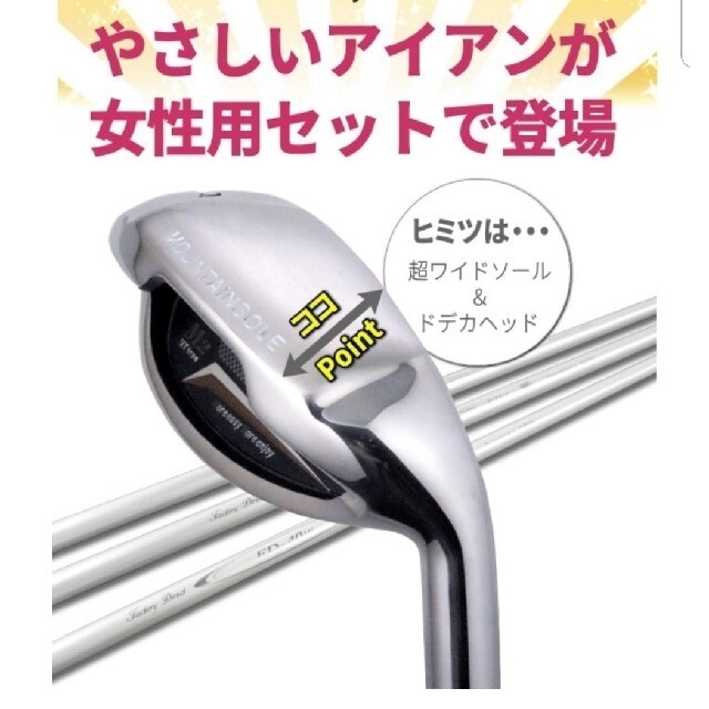 waka様 専用  レディースアイアンセット チケットのスポーツ(ゴルフ)の商品写真